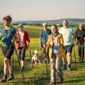 Nordic Walking - für 5 Personen als geführte Gruppe (5 mal 1 Stunde)